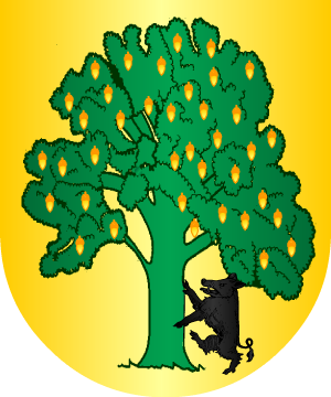 ESCUDO ALEATORIO